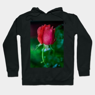 FLOWERS, NATURE’S Fashion Models Hoodie
